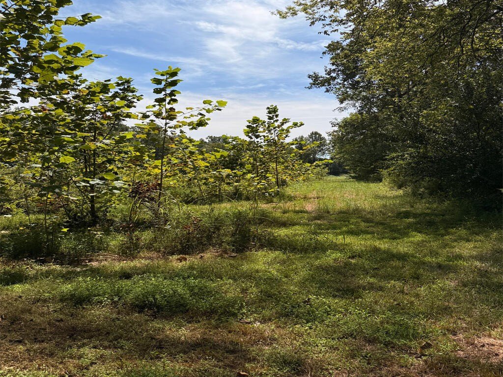 Picture 23