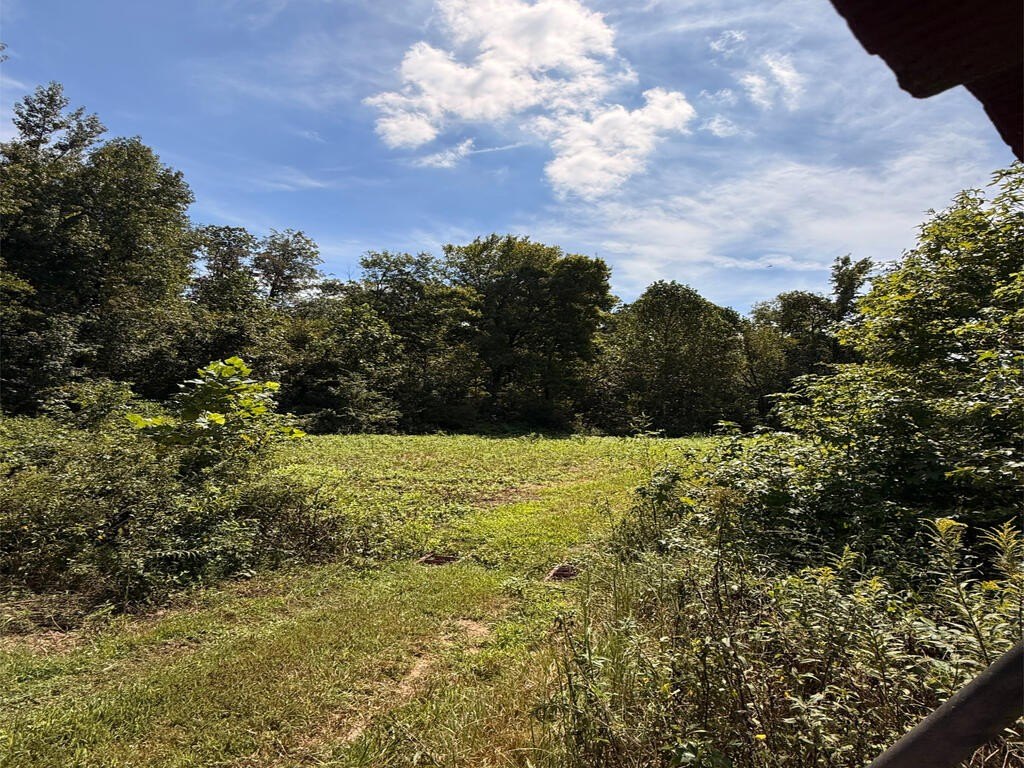 Picture 27