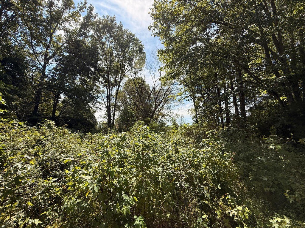 Picture 25