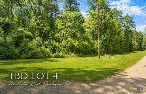 Wooded Lot Near Lake Livingston