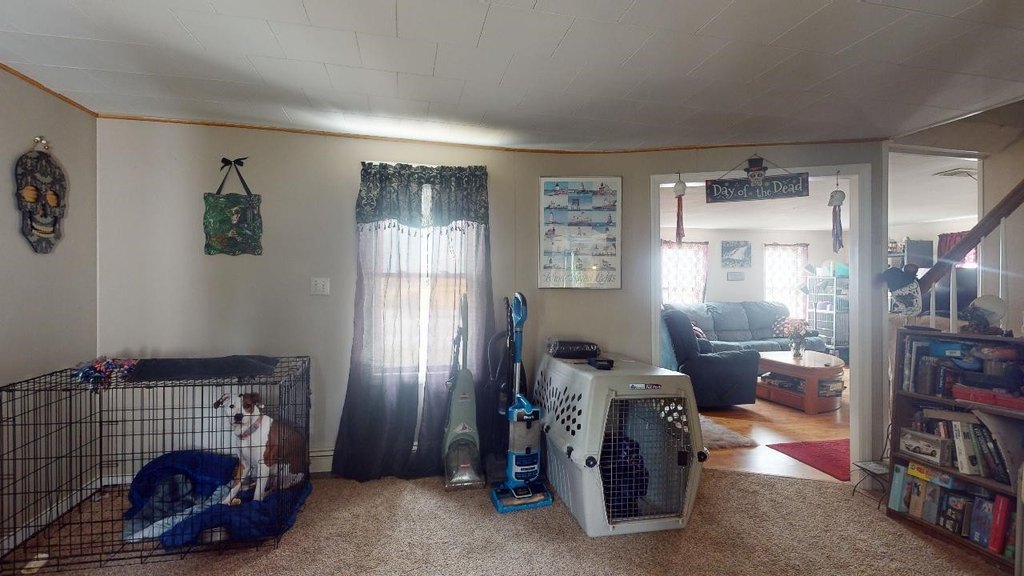 Picture 18