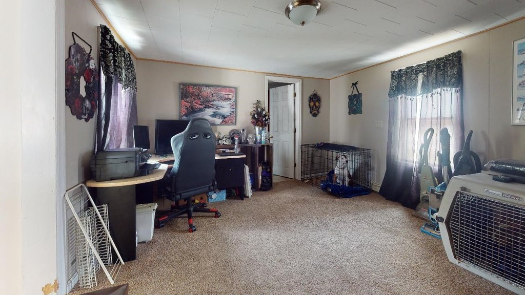 Picture 19