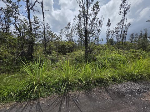 Land, Kurtistown, HI