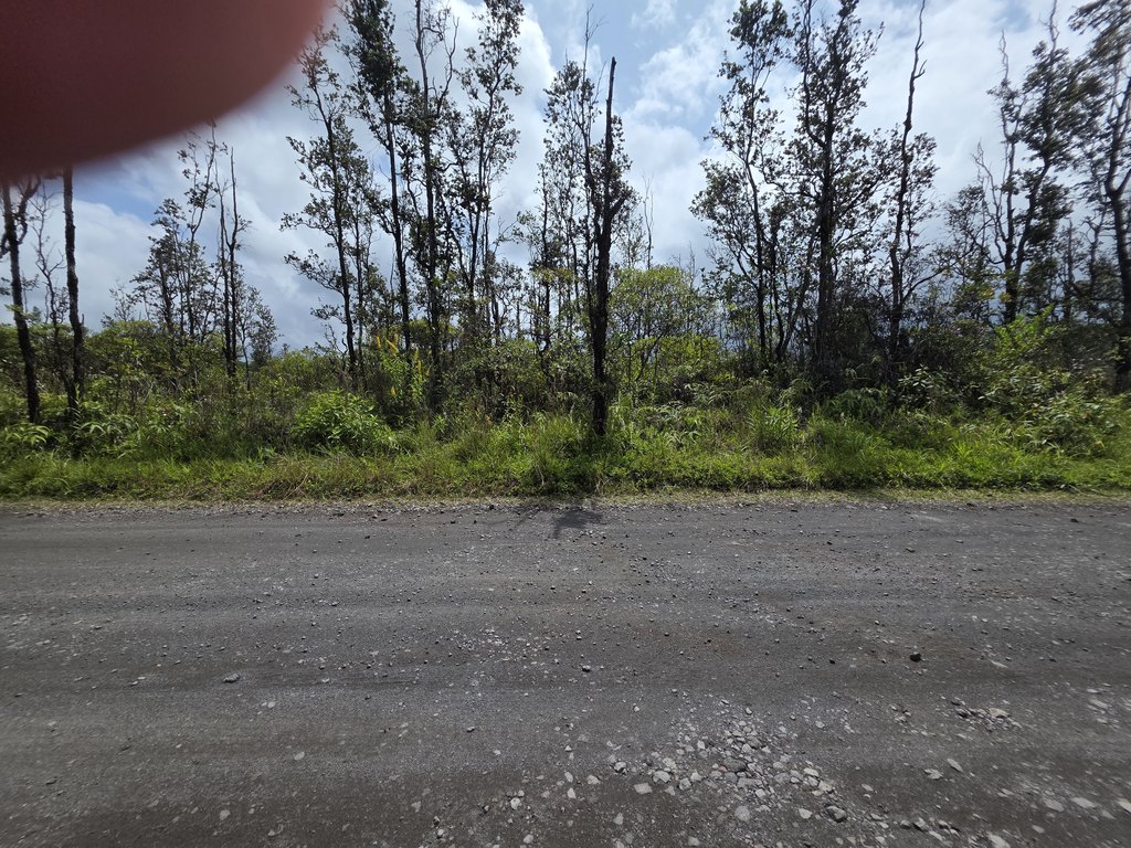 Picture 4