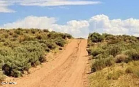 Chambers, AZ Acre Land