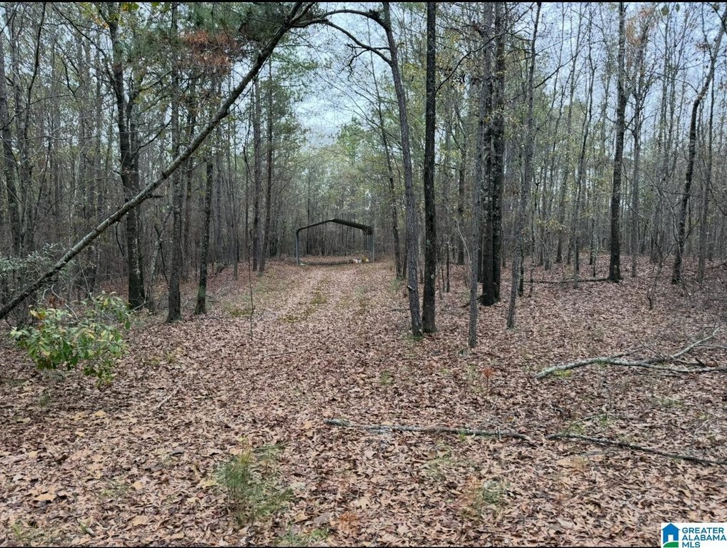 Picture 2