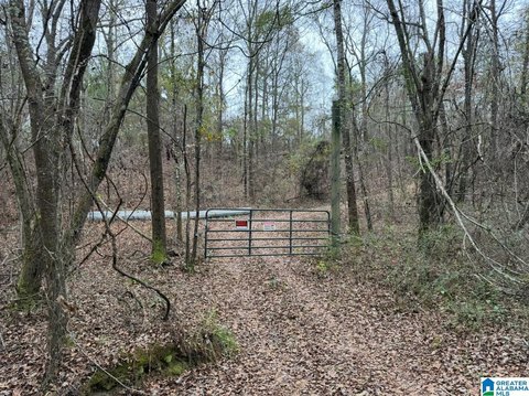 LAND/LOTS, MARBURY, AL