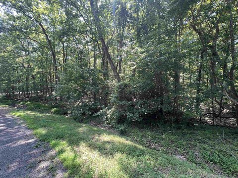 Fairfield Bay Wooded Subdivision Lot
