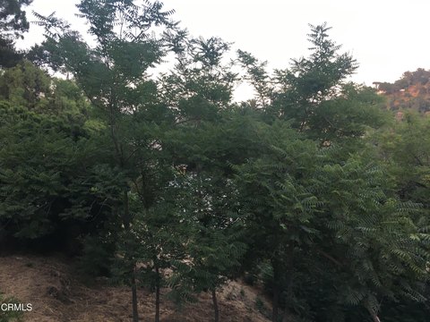 Los Angeles, CA