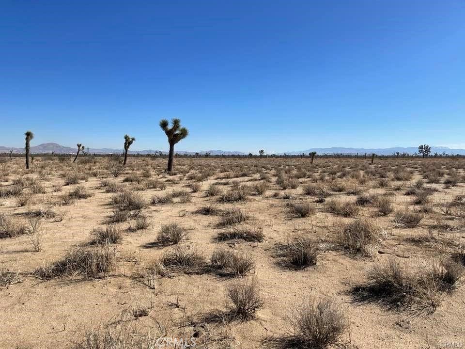 Picture 25