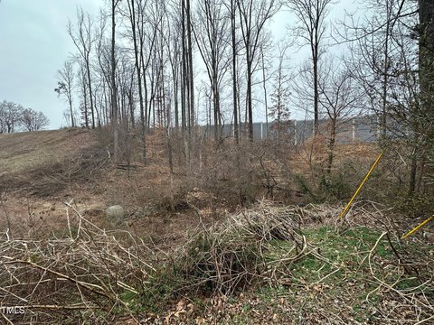 Forsyth County Land Auction Opportunity