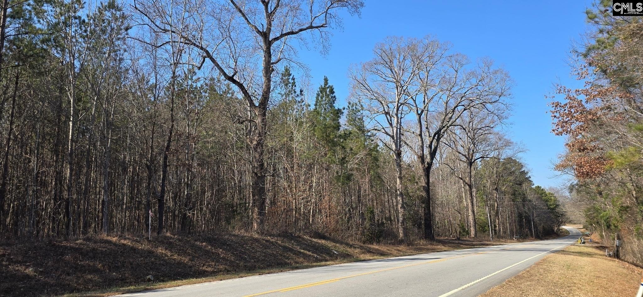 Land Parcel Near Chapin