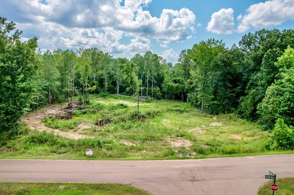Residential Land in Established Neighborhood