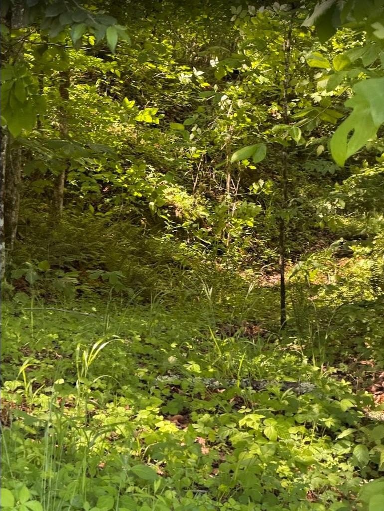 Unrestricted Land in Cookeville, TN