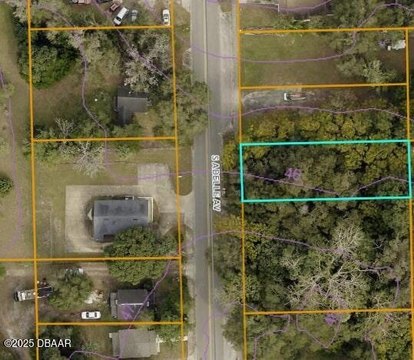 Commercial Land in DeLand, FL
