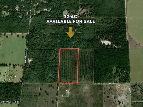 Commercial Land in DeLand, FL