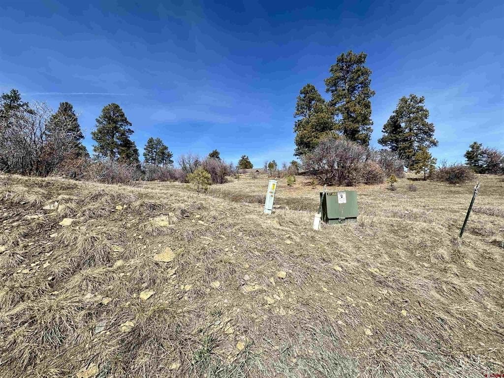 Picture 14