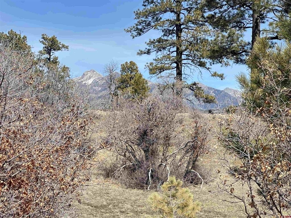 Picture 23