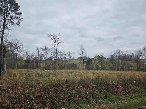 Land, Troup, TX