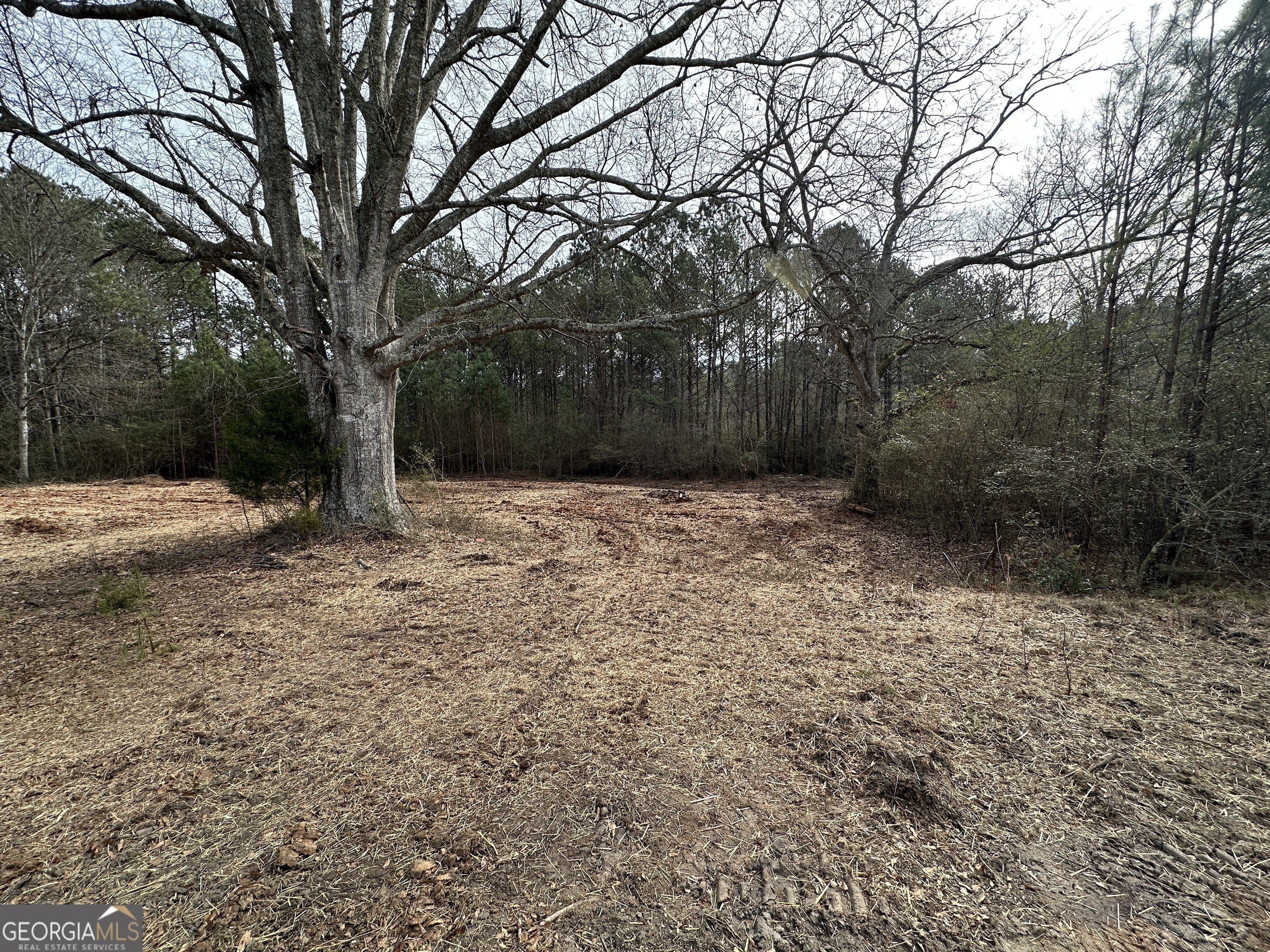 Heard County Land Parcel