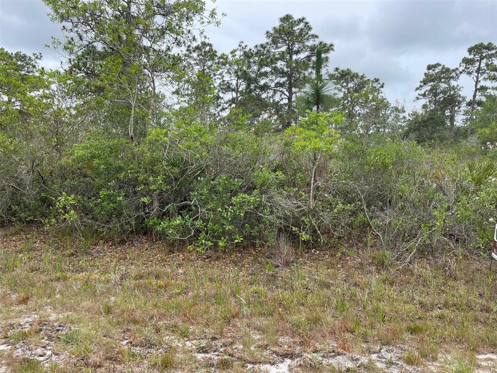 Wooded Lot in Gated Community