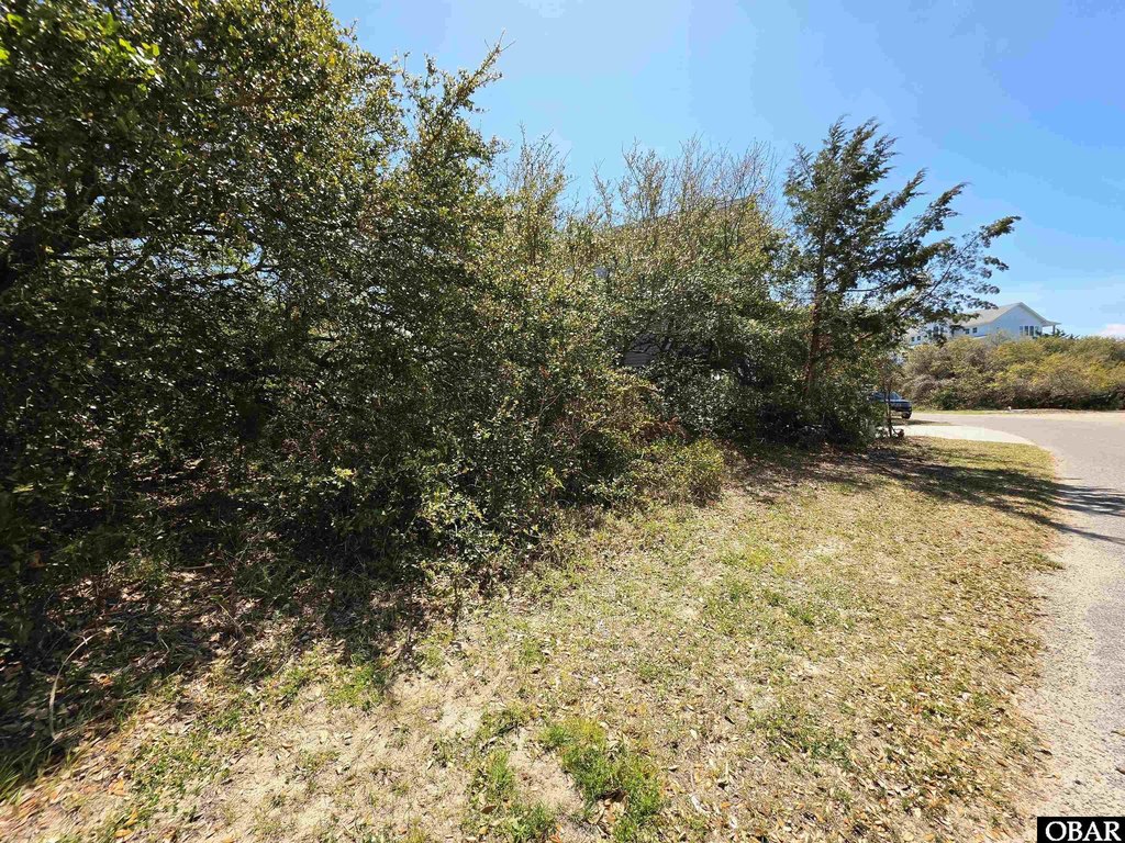 Picture 22