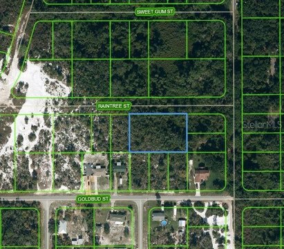 Residential Land in Lake Placid