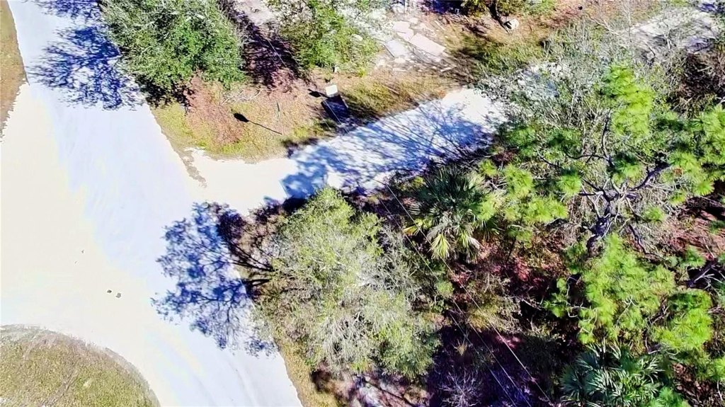 Picture 12