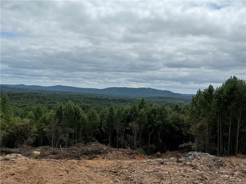 LAND - Sophia, NC