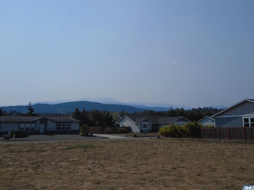 Picture 13