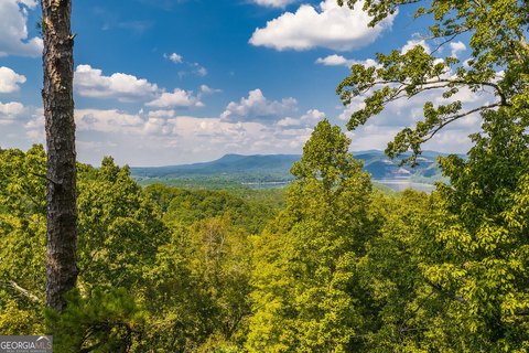 Land, Ranger, GA