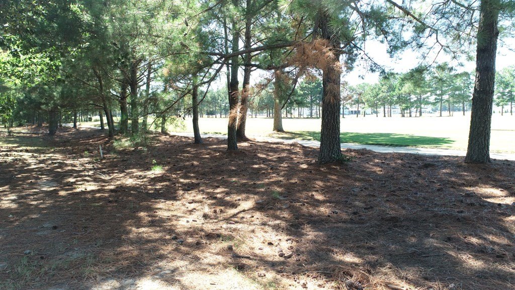 Picture 10