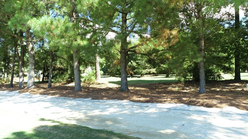 Picture 14