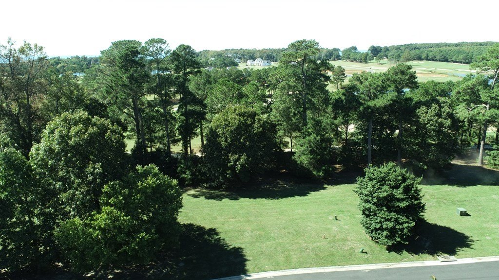 Picture 3