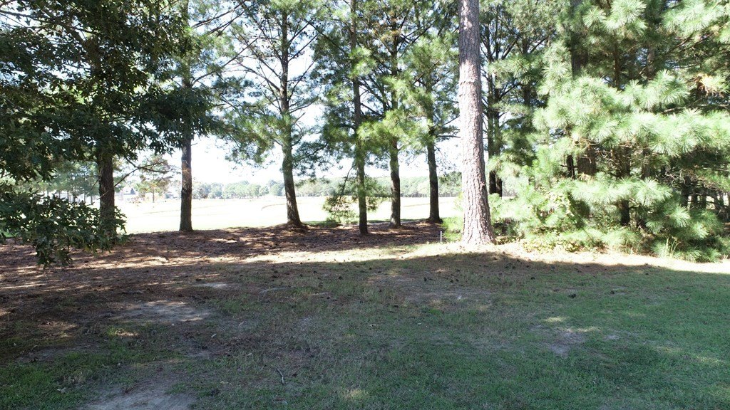 Picture 9
