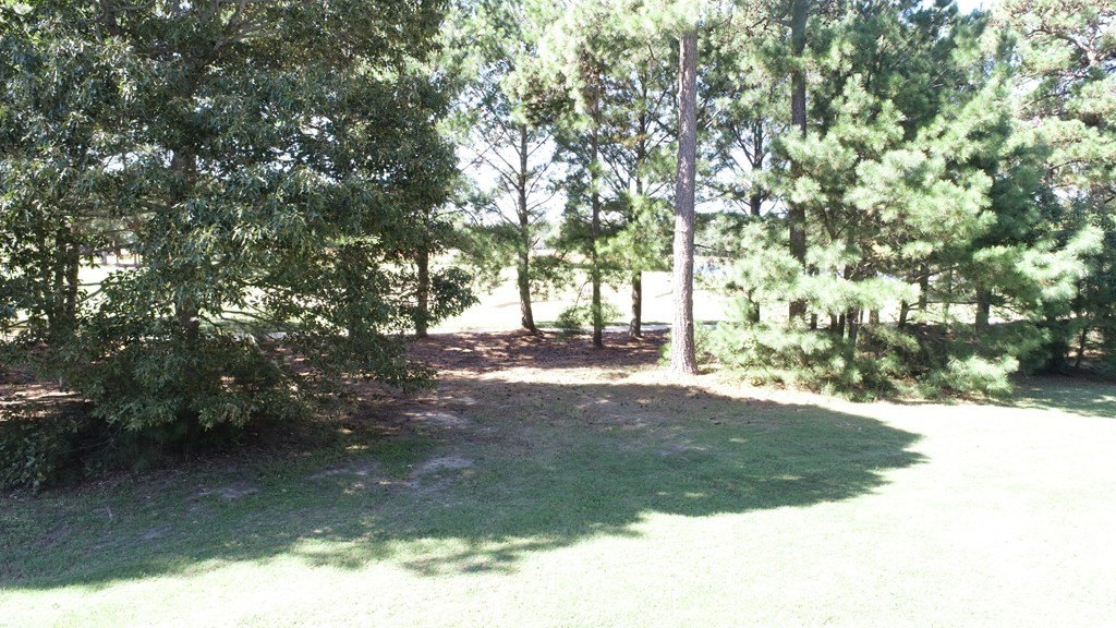 Picture 18
