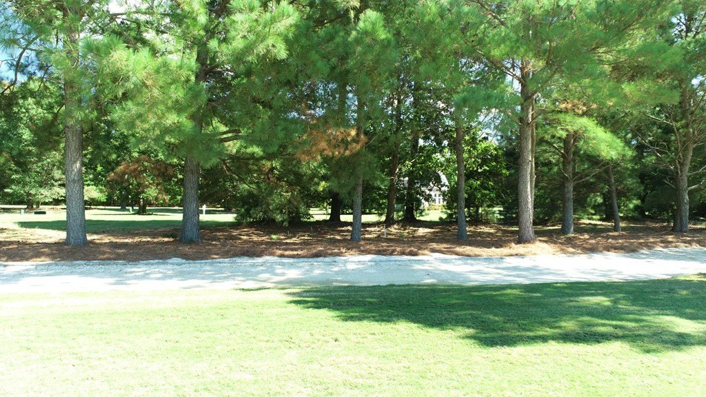Picture 12