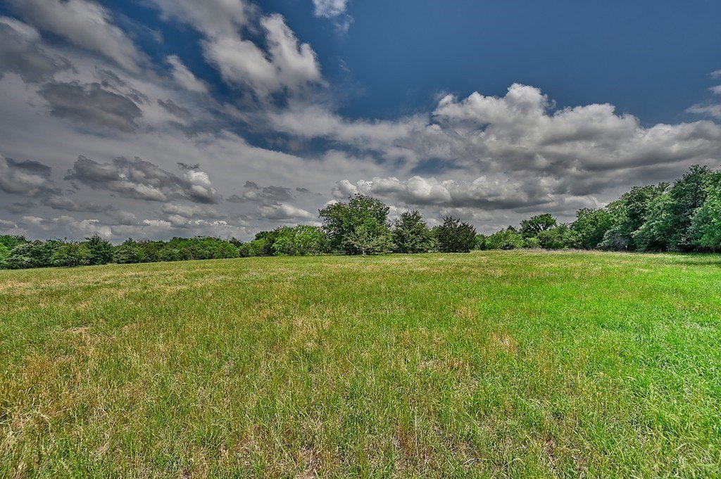 Picture 7