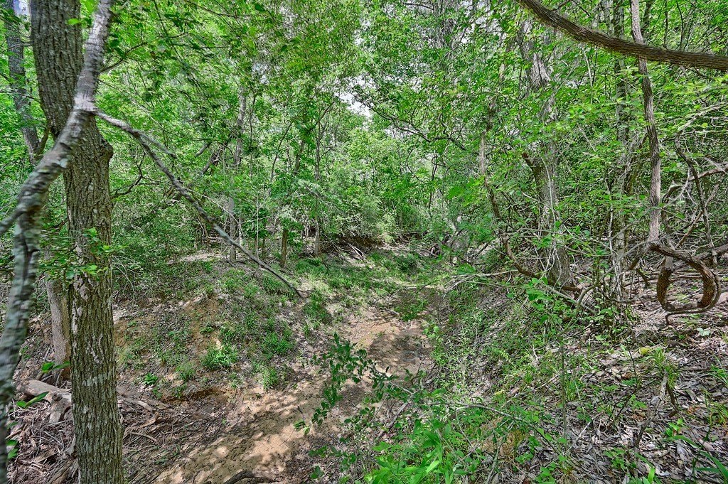 Picture 16