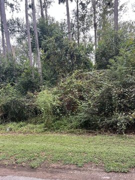 Land, Broxton, GA