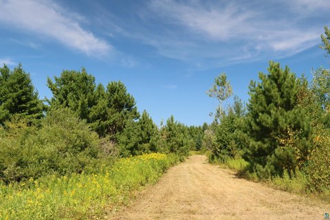Waterfront Land with Creek Frontage