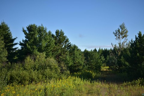 Hunting Land with Creek Frontage