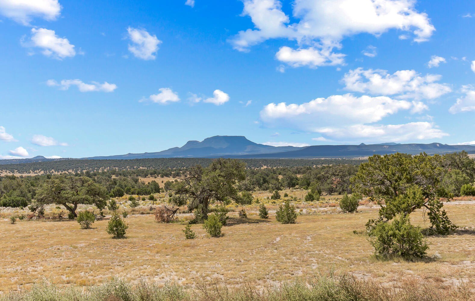 Land with Expansive Views