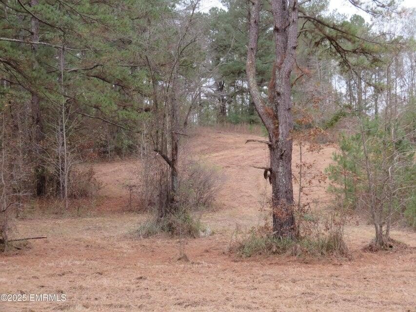Picture 18