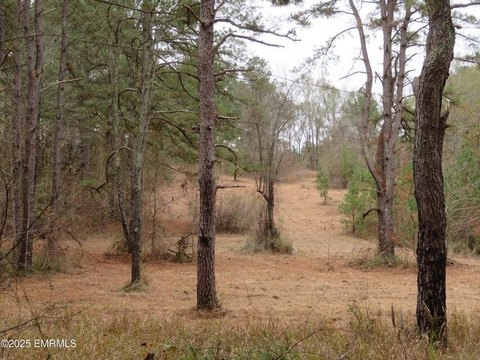 Heidelberg Hunting and Timber Investment