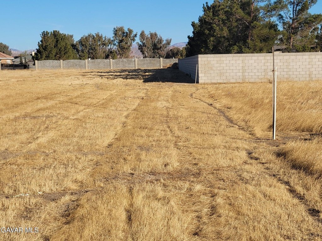 Picture 8