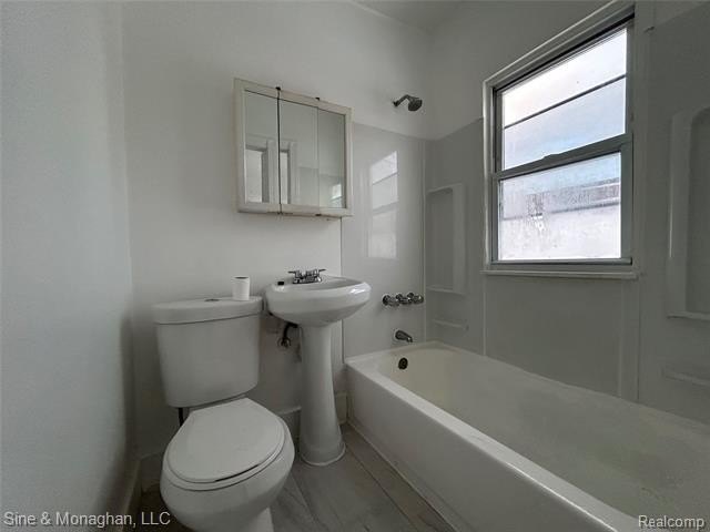 Picture 15