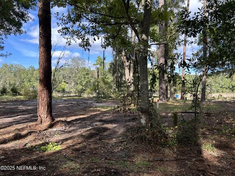 Land Parcel in Middleburg, FL