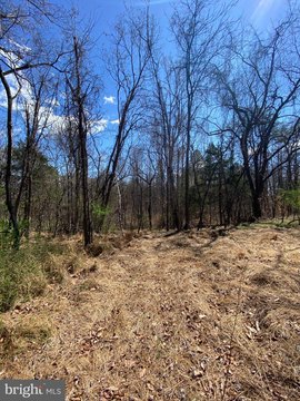 Land, CULPEPER, VA
