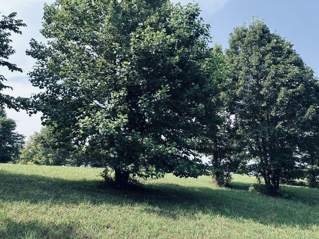 Picture 17